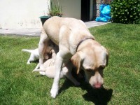 /album/fotos-recentes-/fotos-065-jpg/